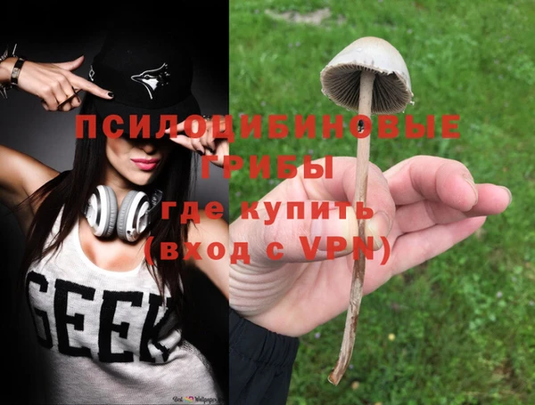 ALPHA PVP Богородицк